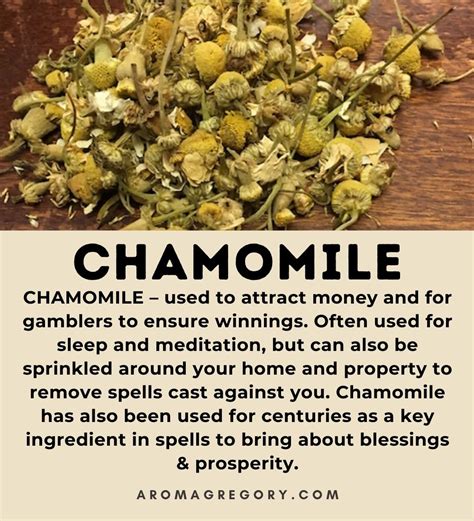 Divine properties of chamomile